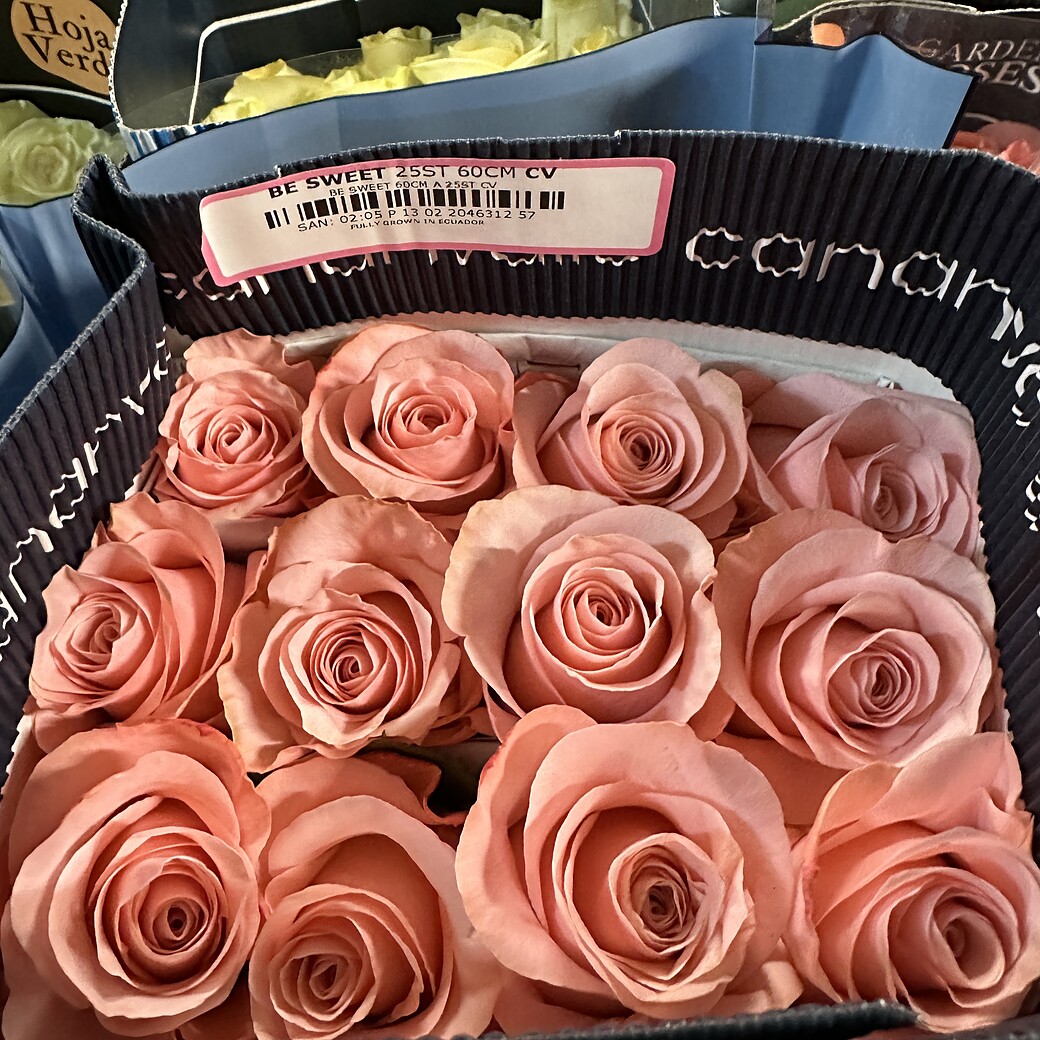 Be Sweet rozā rozes kastē ar Naranjo Roses etiķeti