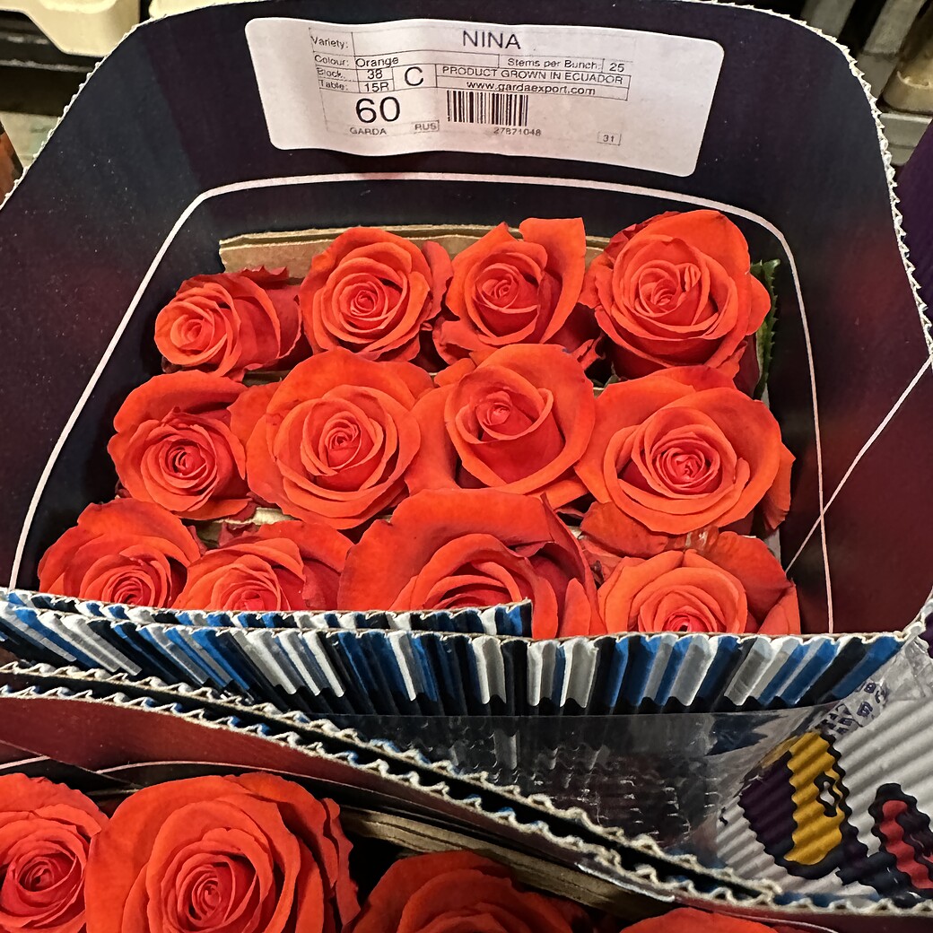Nina oranžas rozes kastē ar Garda Export etiķeti