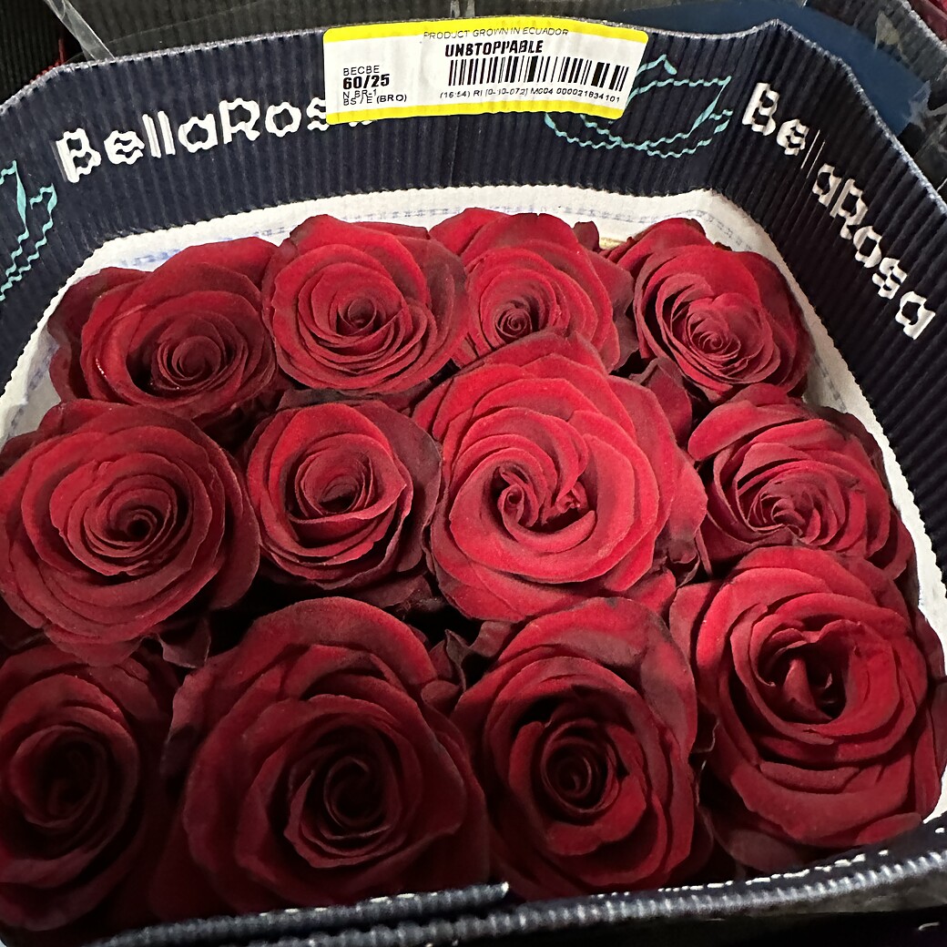Unstoppable sarkanas rozes kastē ar BellaRosa etiķeti