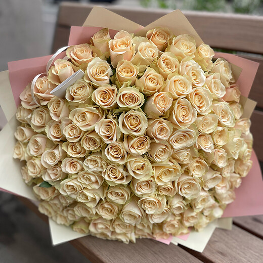 101 krēmkrāsas roze
