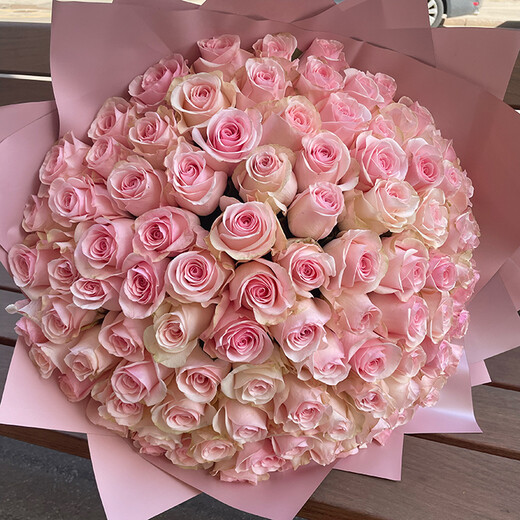 101 rozā roze