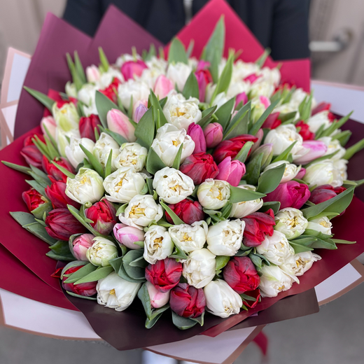 101 tulips of different colors