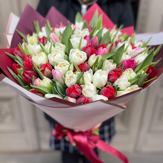 101 tulips of different colors