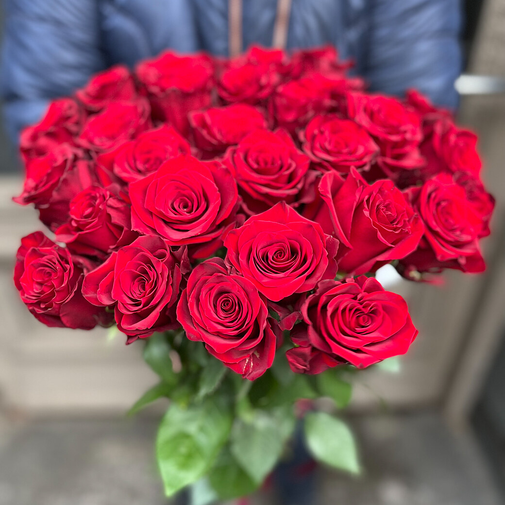 Red roses I love You