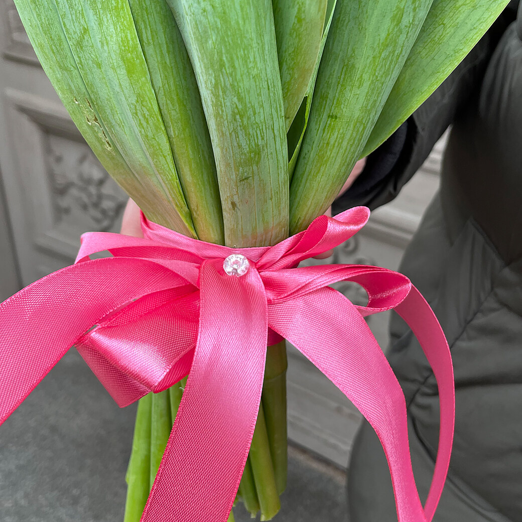Rozā tulpes