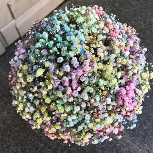 Flower box with gipsofilas