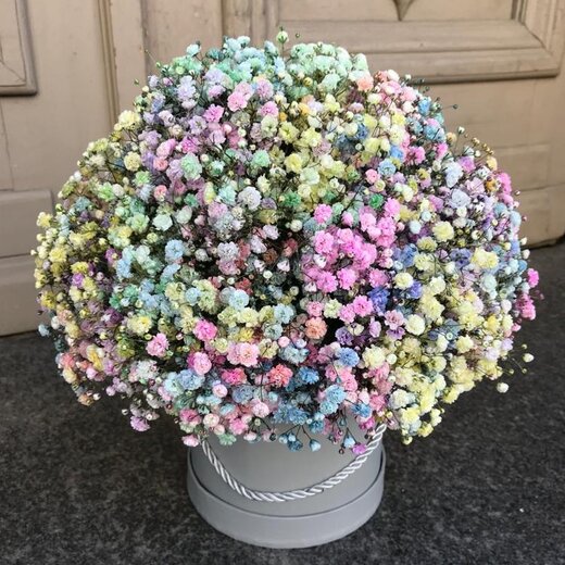 Flower box with gipsofilas