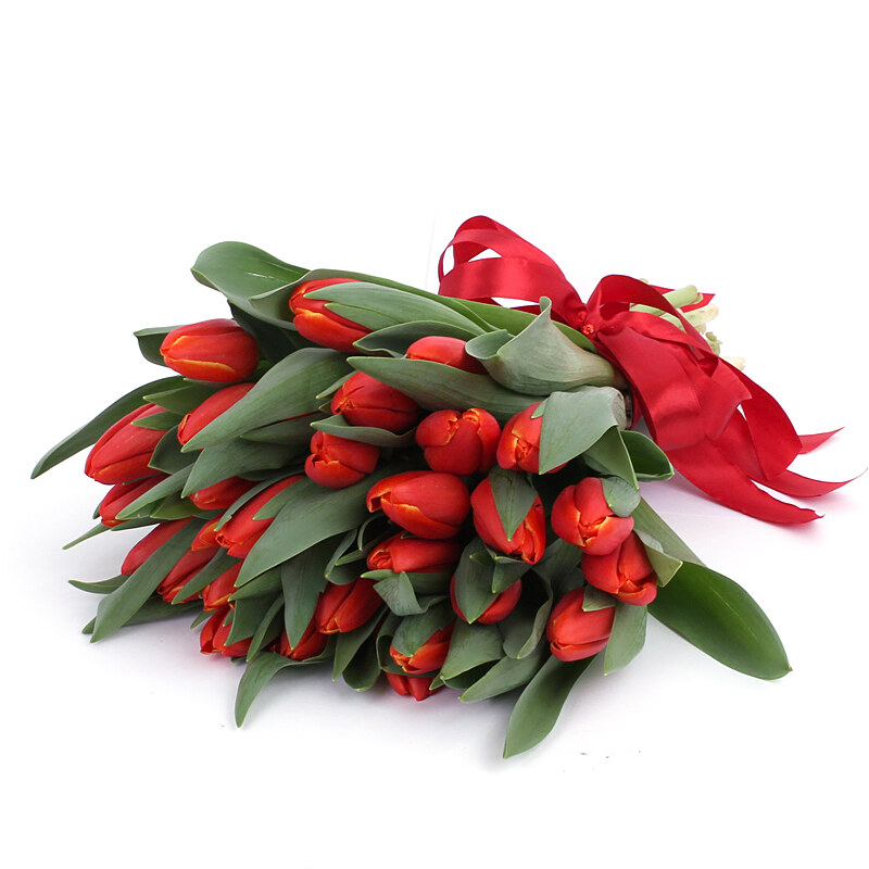 red tulips