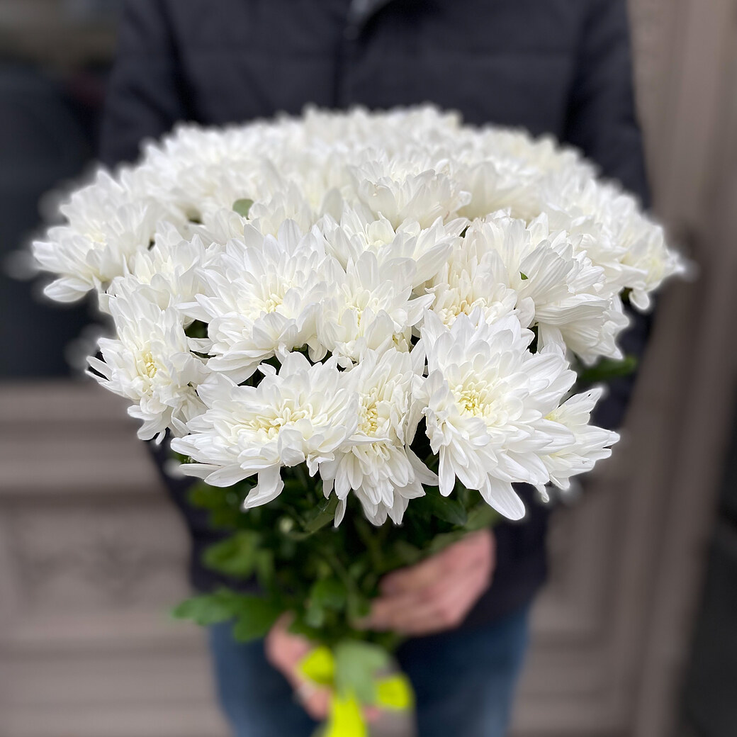 White chrysanthemum