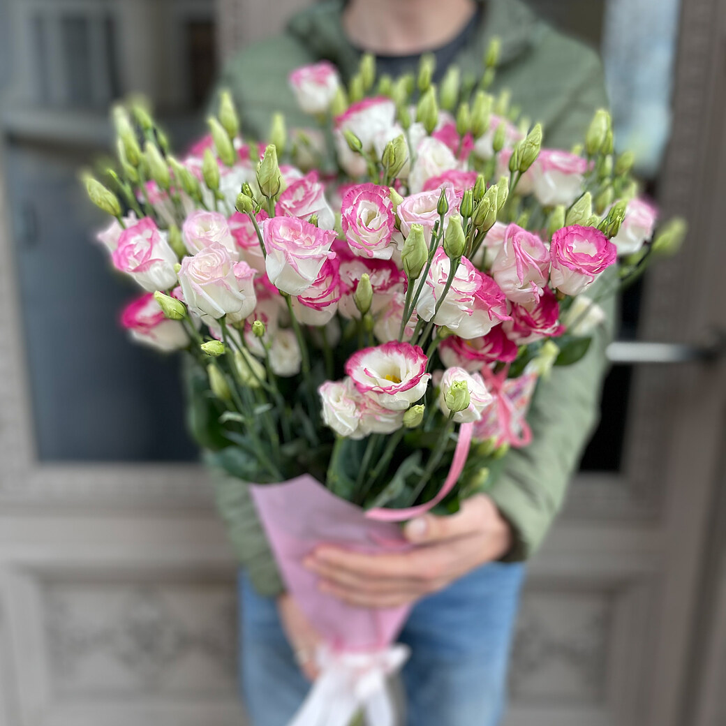 White lisantes with a pink border