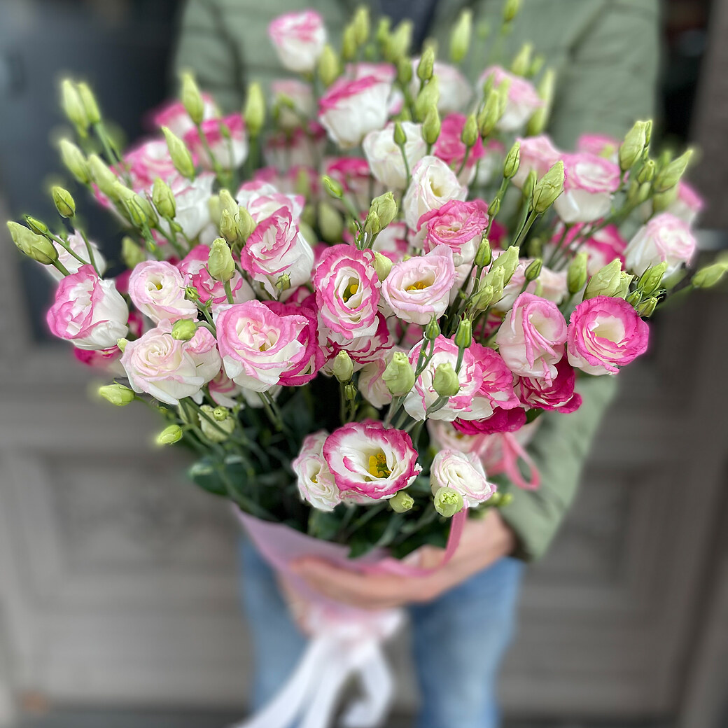 White lisantes with a pink border