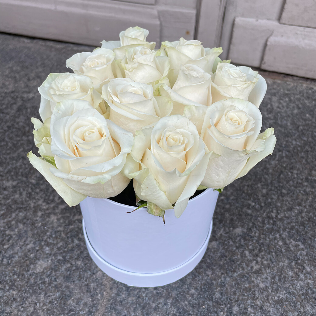 White roses in a round box