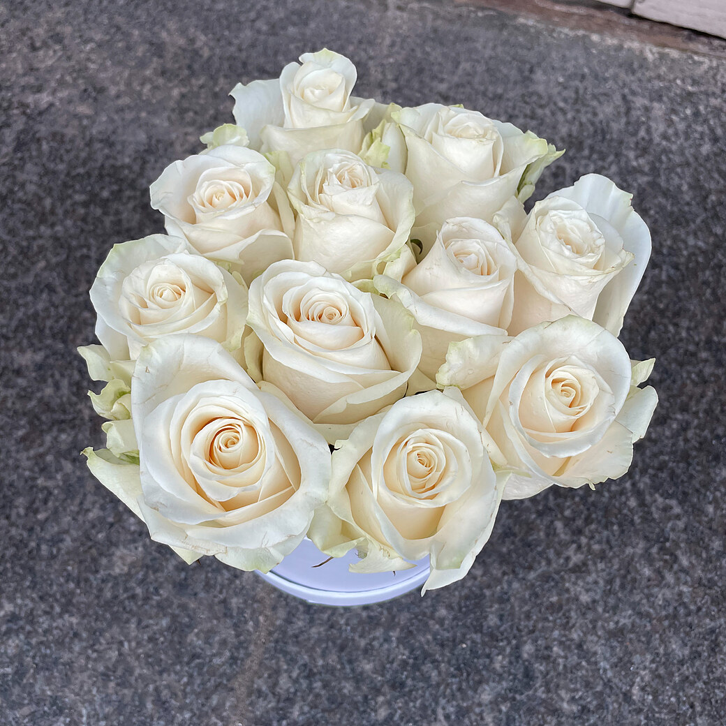 White roses in a round box