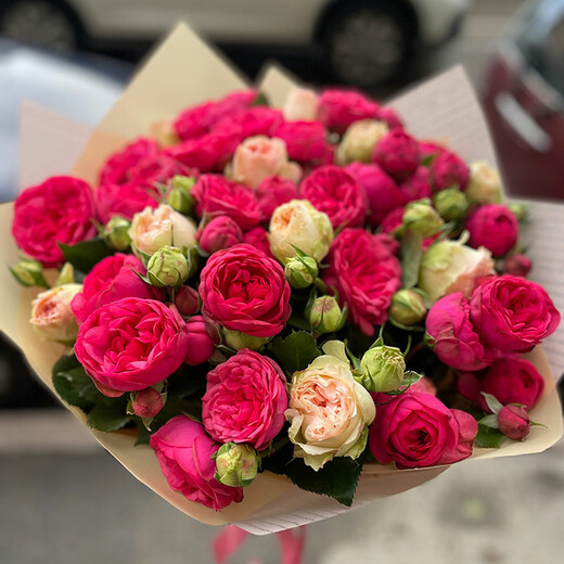 Peonijveida krūmrozes