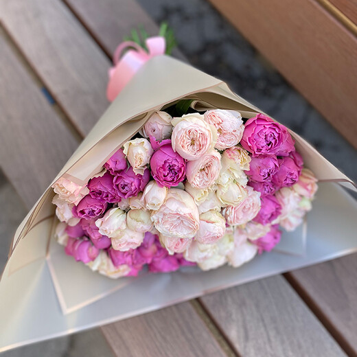 Peony-like bush roses pink, purple mix
