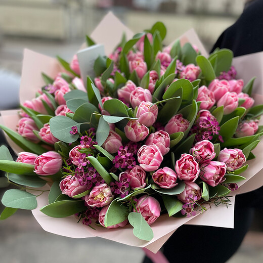51 pink tulips with wax flower and eucalyptus