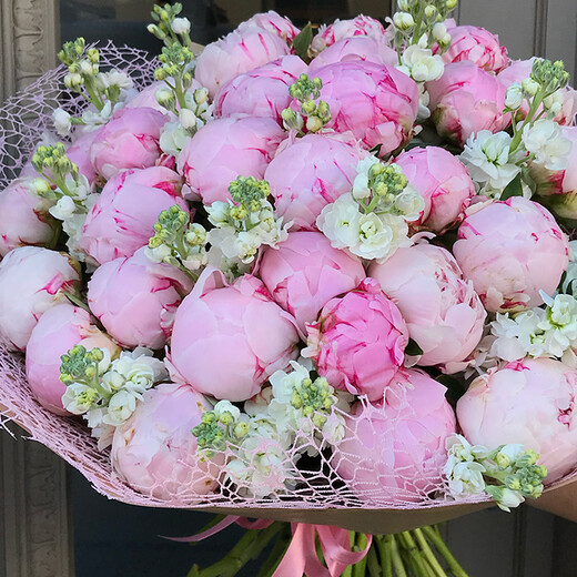 Large peony, matthiola bouquet