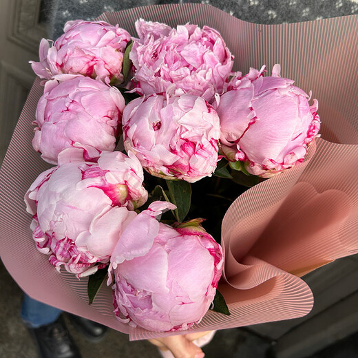 Pink peonies in decorative packaging