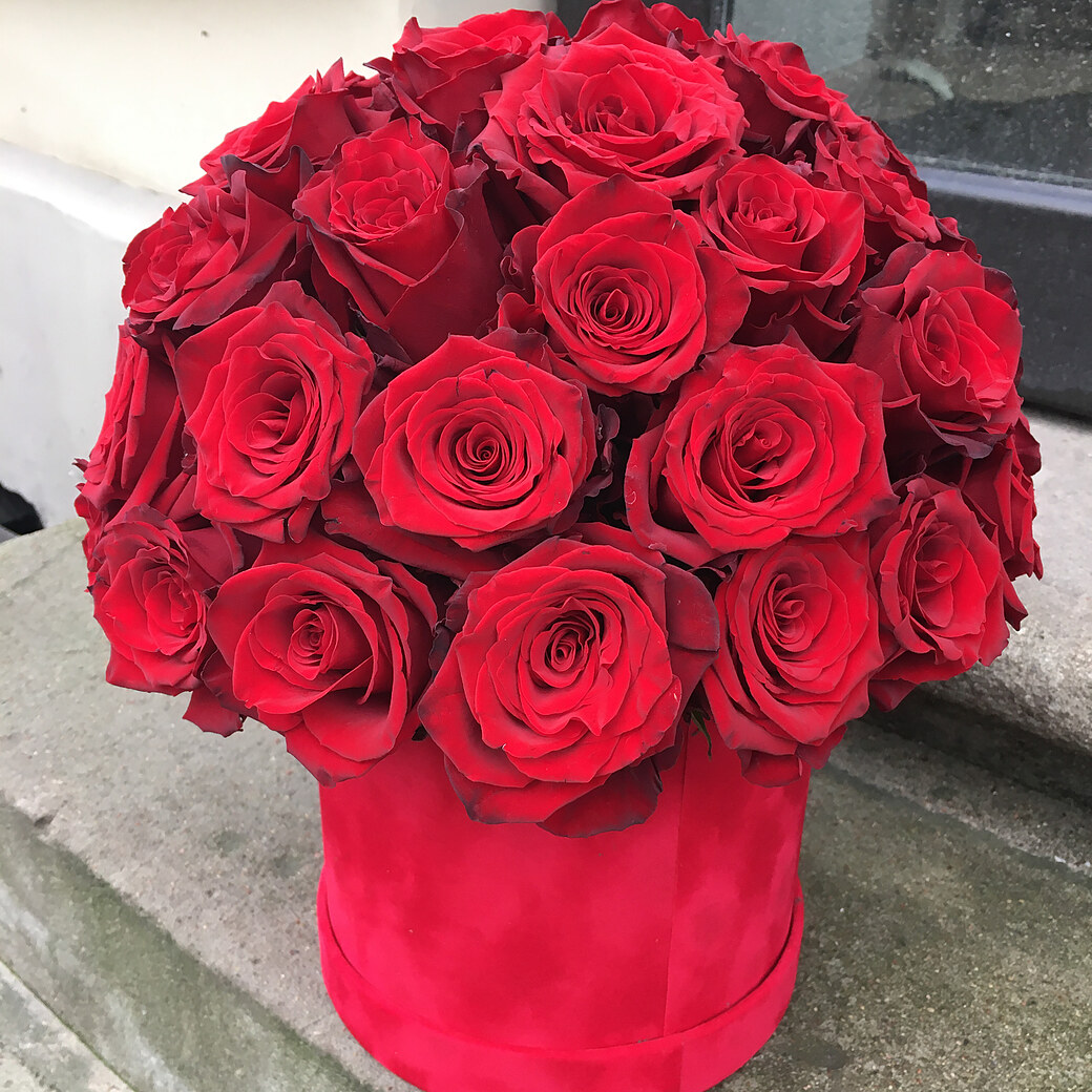Red roses in a round box
