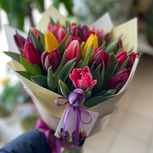 Tulips of different colors in decorative paper