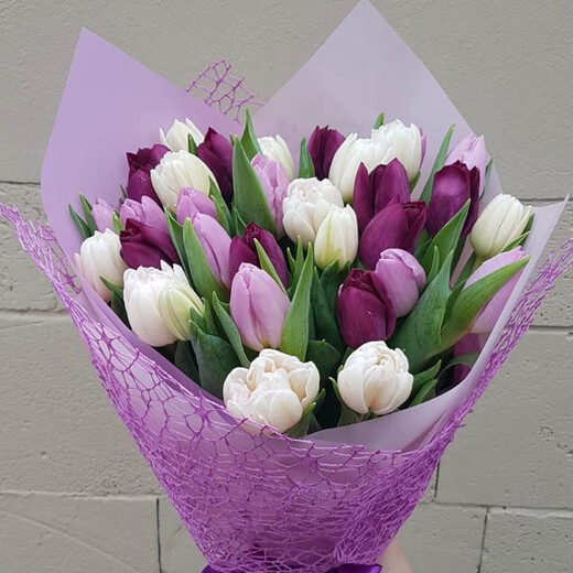 Bouquet of white and purple tulips