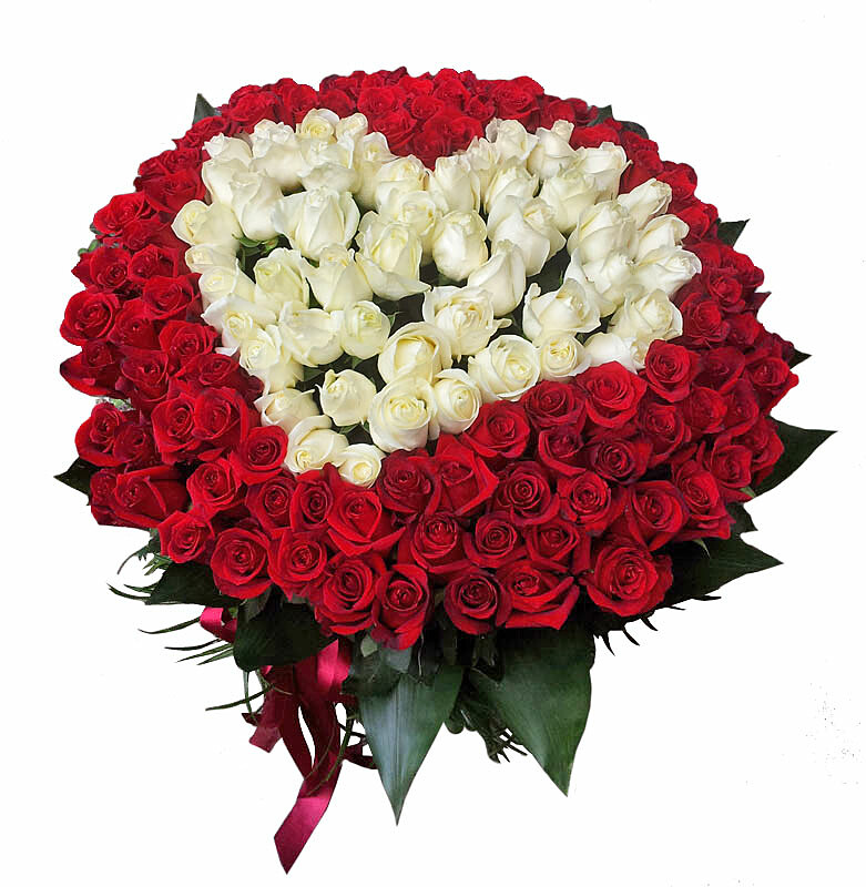 heart of 151 red and white roses