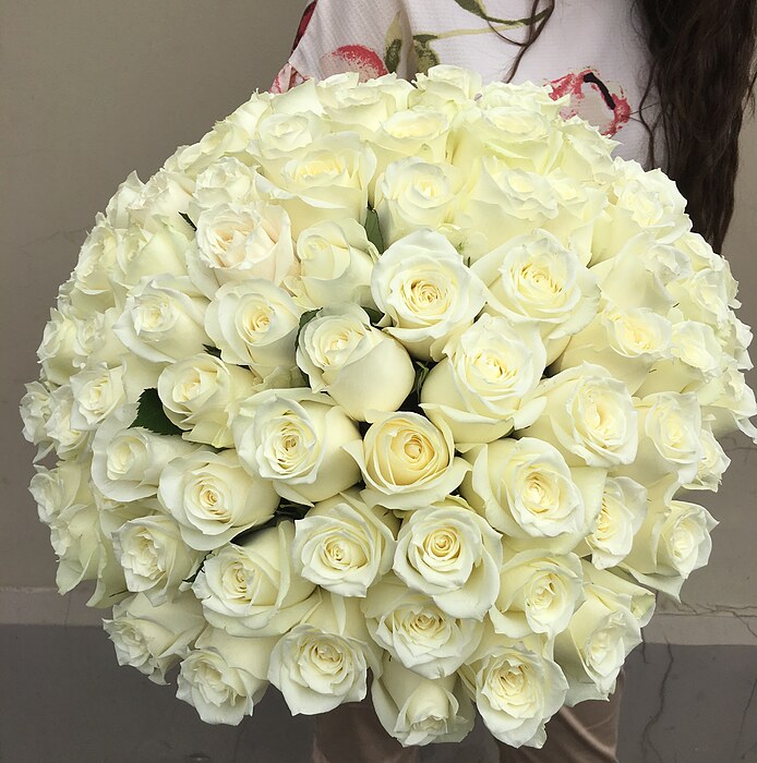 ​101 white rose 