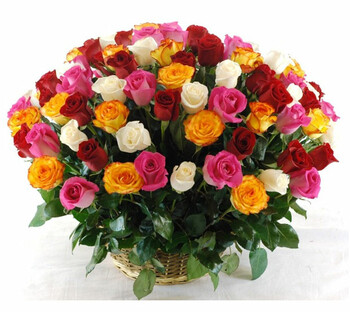 101 different colors of the rose basket