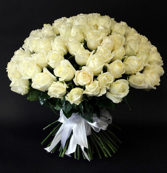 ​101 white 70 cm. long premium rose