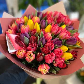 51 dažādu krāsu tulpe dekoratīvā iepakojumā