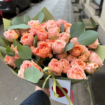 Peonijveida krūmrozes dekoratīvā iepakojumā