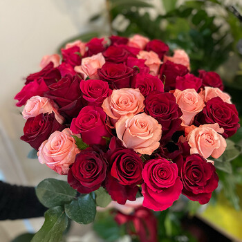 Premium rose mix