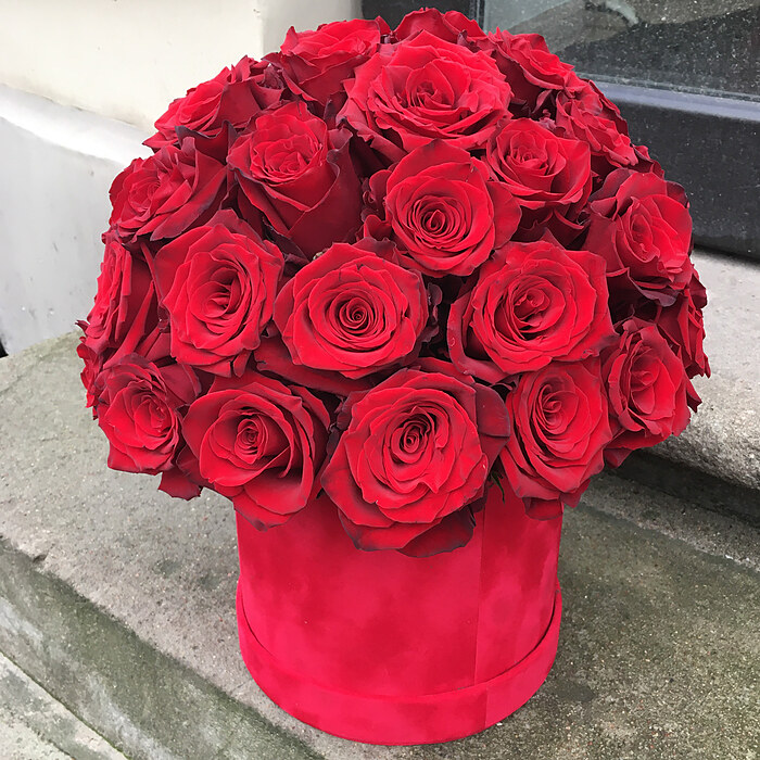 Red roses in a round box