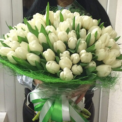 101 white tulips