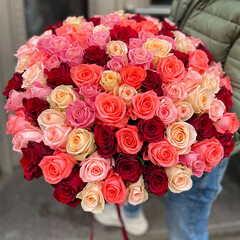101 different colour roses