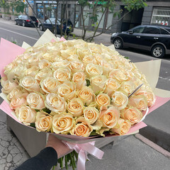 101 krēmkrāsas roze
