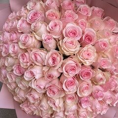 101 rozā roze