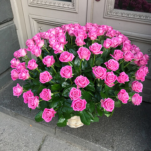 101 rozā roze grozā