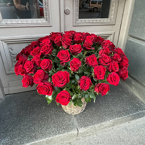 101 sarkana roze grozā