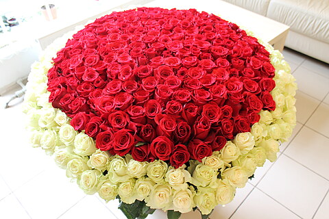 201 roze grozā