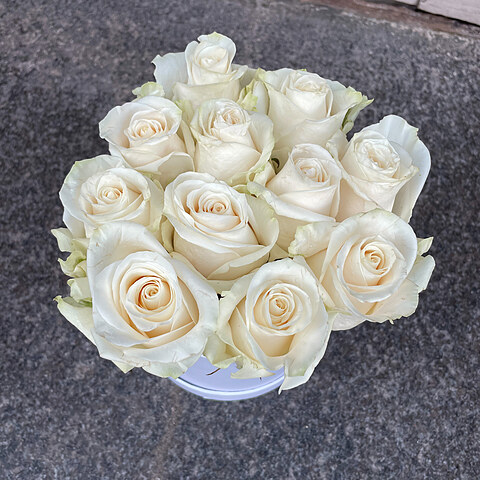 White roses in a round box