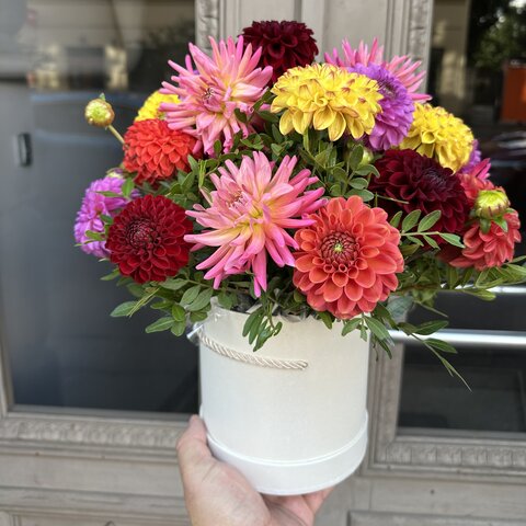 Dahlia flower box in mixed colours