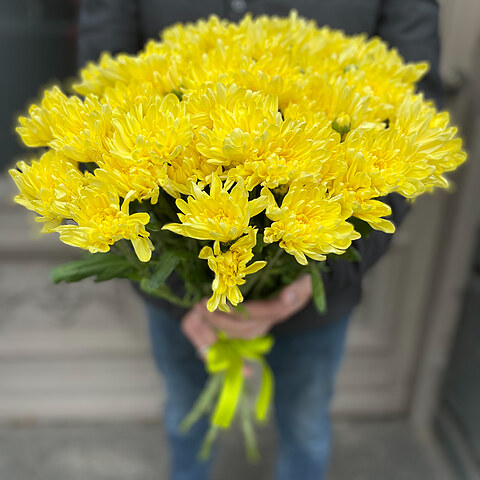 Yellow chrysanthemum