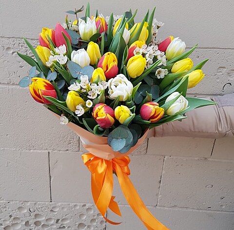 Tulip bouquet