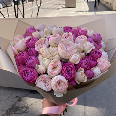Peony-like bush roses pink, purple mix