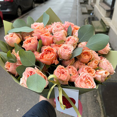 Peony-like shrub roses in decorative packaging