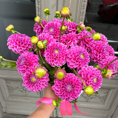 Bouquet of pink dahlias
