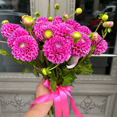Bouquet of pink dahlias