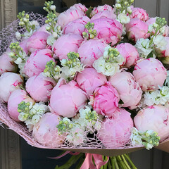 Large peony, matthiola bouquet