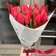 Red tulips